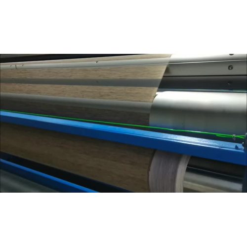 double roller lien-1